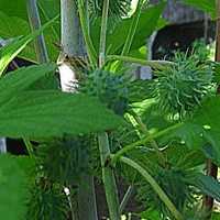 이미지 상세보기