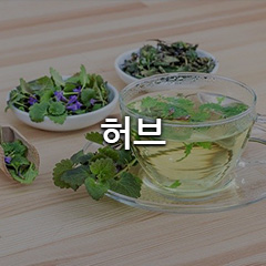 허브